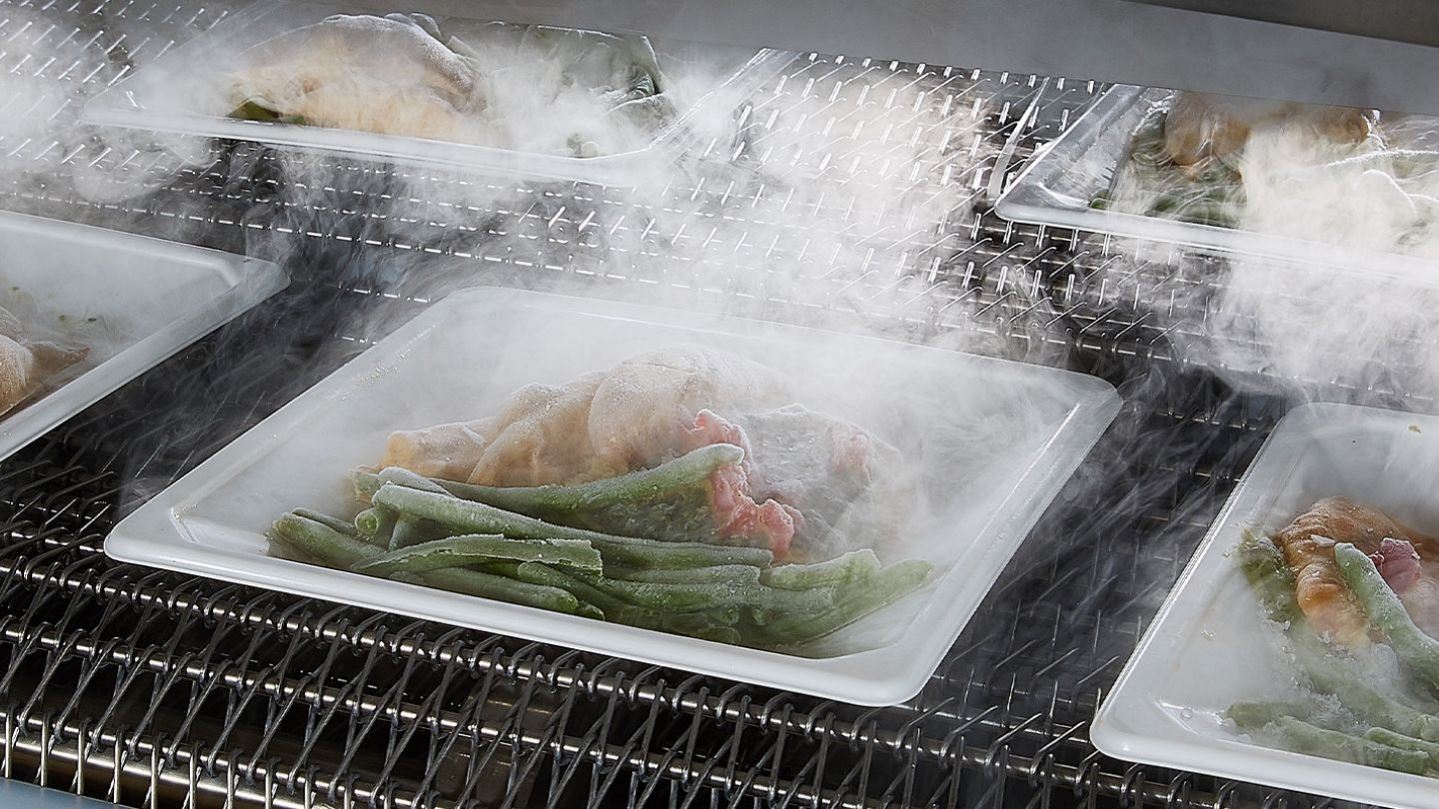Frozen food on plates in freezer