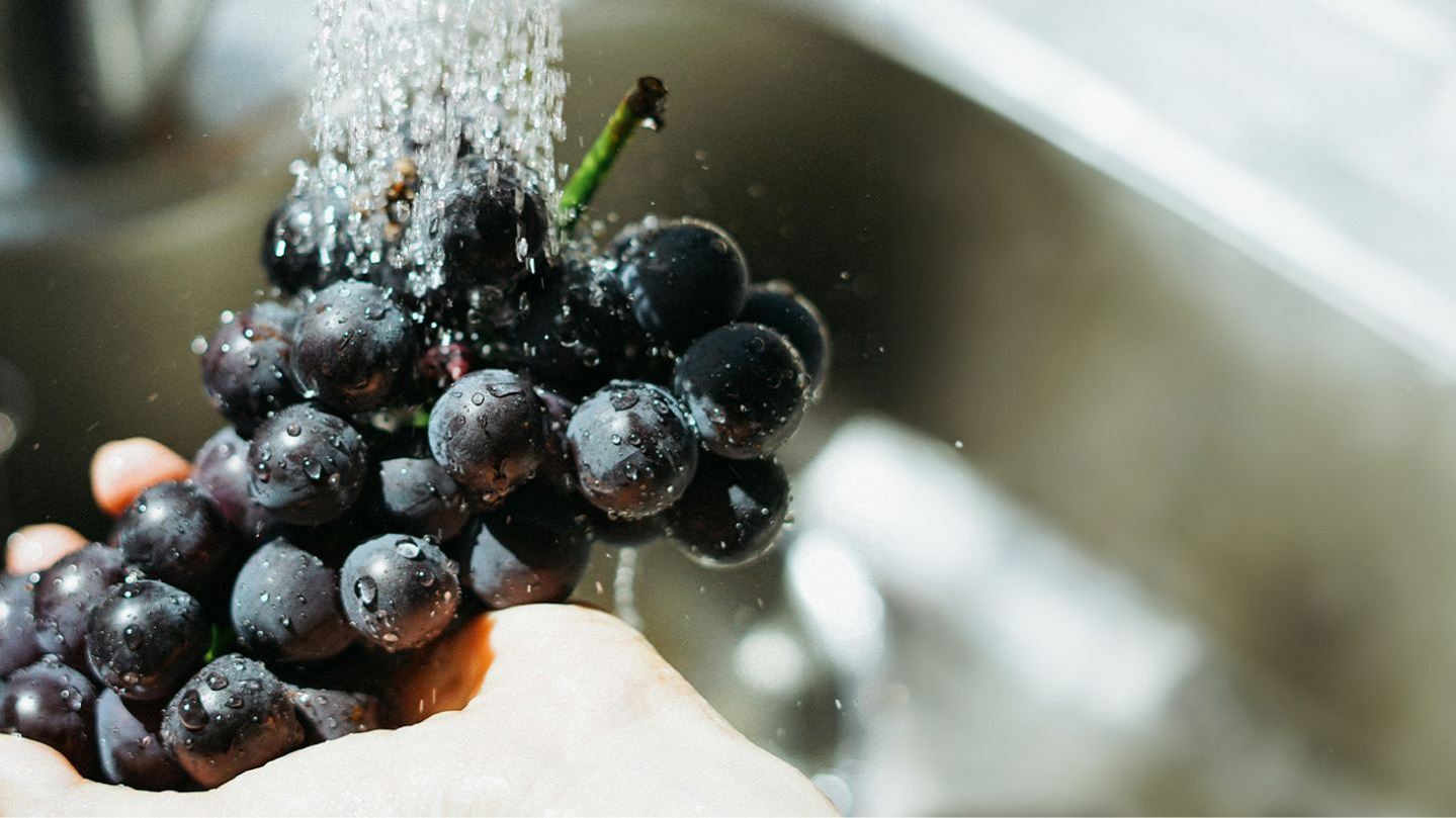 Berries being washed