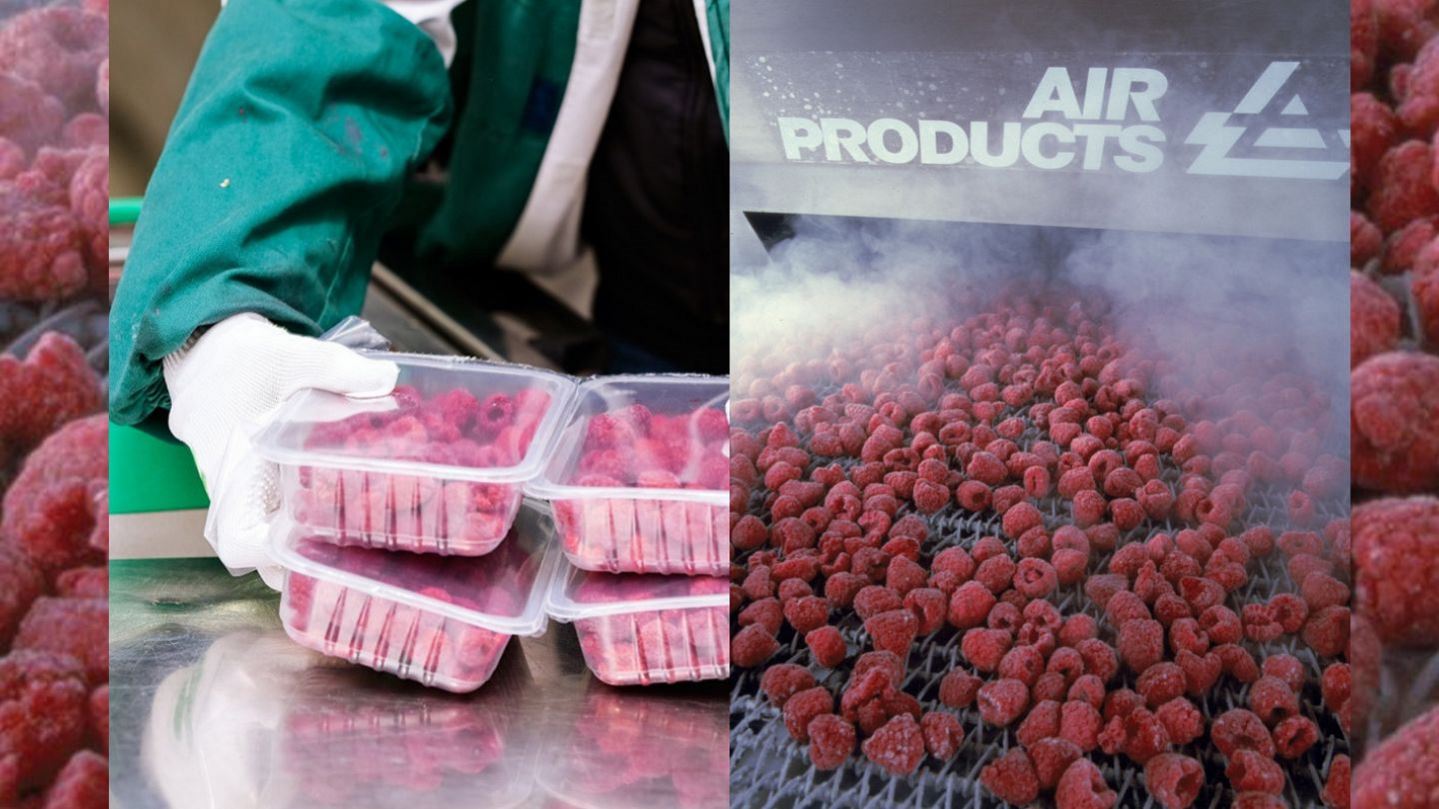 Frozen Berries