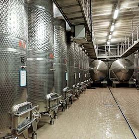Fermentation
