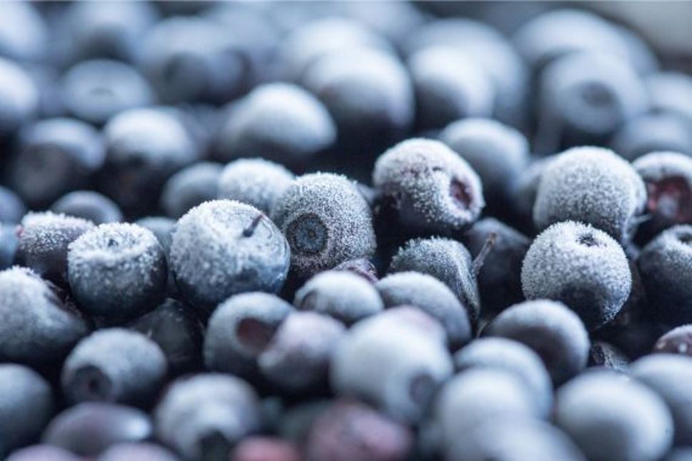 Frozen Blueberries